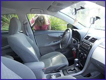 Mount Pleasant RI Locksmith Store Mount Pleasant, RI 401-324-4015